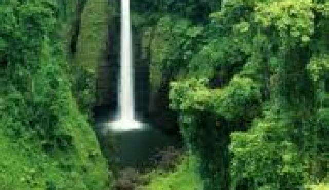Samoa waterfall4
