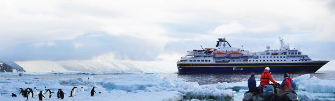 Screenshot 2026 02 03 101651