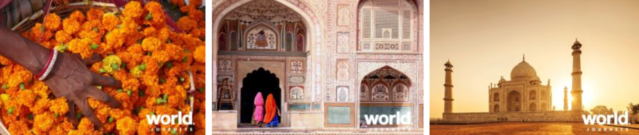 COLOURS OF INDIA - Women only, hosted journey from New Zealand - 26 September 2026