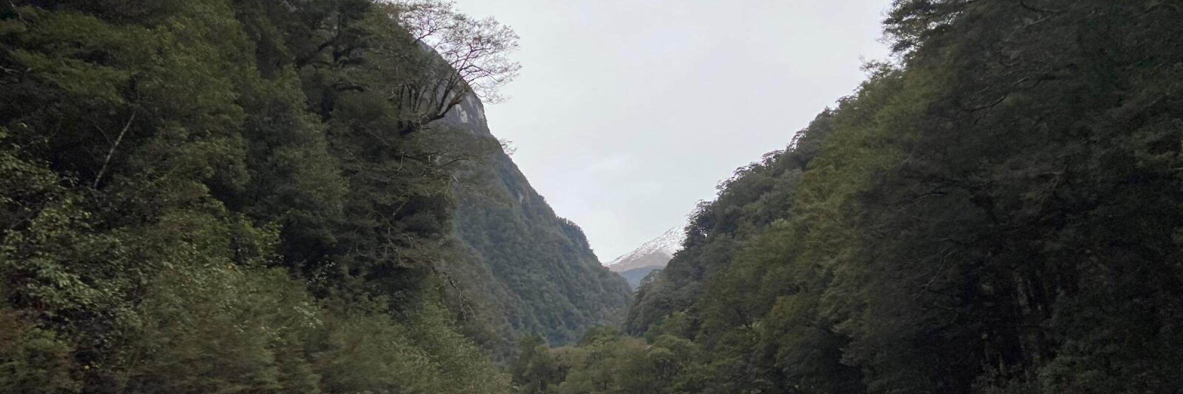 New Zealand Drive Tours